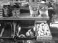 /album/galerie-de-photos-souvenirs-/img-20121226-122619-jpg1/